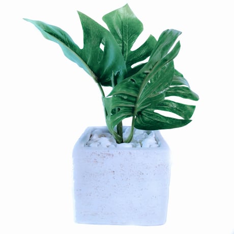 DiamondPlants　Short　ヒメモンステラ　次世代型インテリアグリーン　空気清浄効果　人工観葉植物
