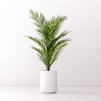 DiamondPlants　Grande　アレカヤシ　次世代型インテリアグリーン　空気清浄効果　人工観葉植物  [設置・廃材回収サービス付]
