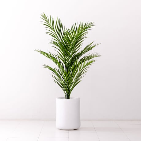 Diamond Plants　Grande　アレカヤシ　次世代型インテリアグリーン　空気清浄効果　人工観葉植物