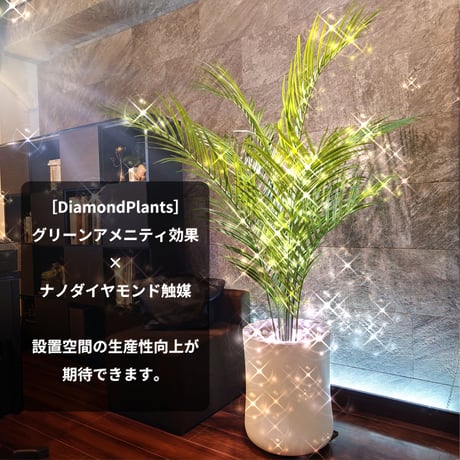 Diamond Plants　Grande　アレカヤシ　次世代型インテリアグリーン　空気清浄効果　人工観葉植物