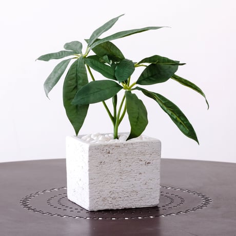 DiamondPlants　Short　パキラ　次世代型インテリアグリーン　空気清浄効果　人工観葉植物