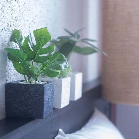 DiamondPlants　Short　パキラ　次世代型インテリアグリーン　空気清浄効果　人工観葉植物