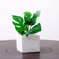 DiamondPlants　Short　ヒメモンステラ　次世代型インテリアグリーン　空気清浄効果　人工観葉植物