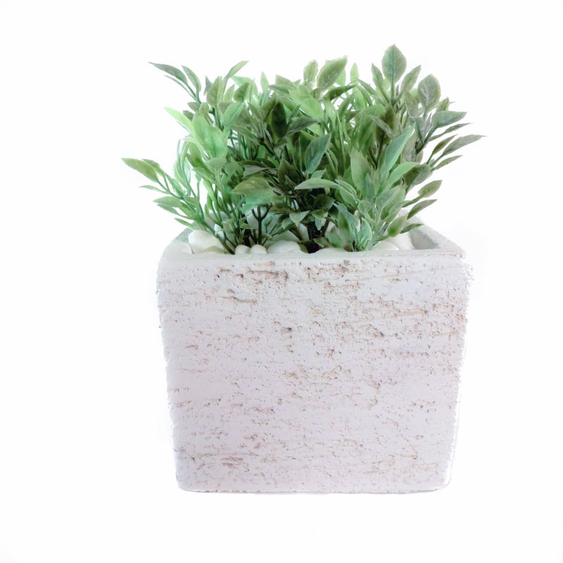 ティーリーフ100枚 ティーリーフ切り葉 100枚 / 150枚 / 200枚 - MELE OHANA ONLINE