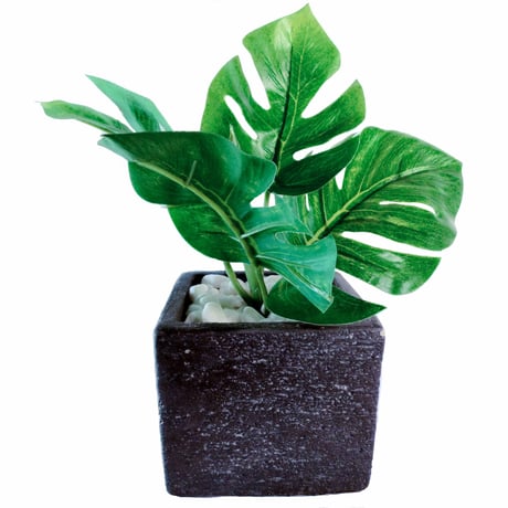 DiamondPlants　Short　ヒメモンステラ　次世代型インテリアグリーン　空気清浄効果　人工観葉植物
