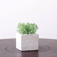 DiamondPlants　Short　ティーリーフ　次世代型インテリアグリーン　空気清浄効果　人工観葉植物