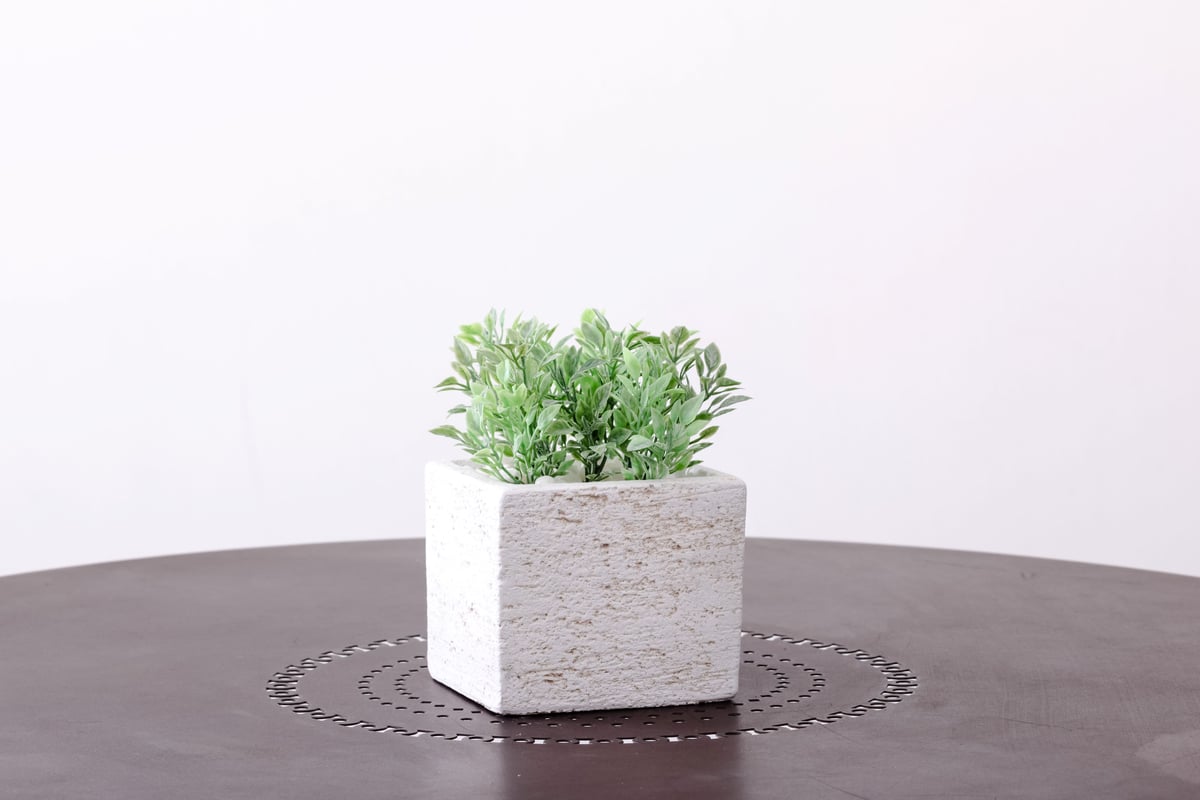 ティーリーフ葉100枚 ティーリーフ切り葉 100枚 / 150枚 / 200枚 - MELE OHANA ONLINE