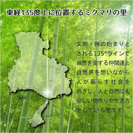 竹塩〜神様のおくすり〜 新月・満月（50g）