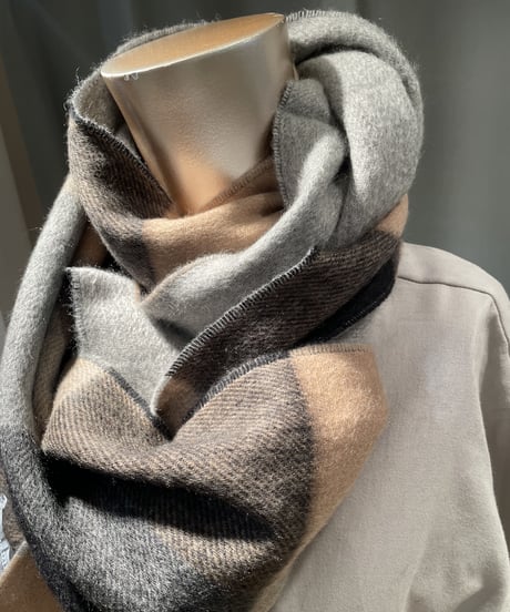 Joshua Ellis/TCS51861 /Check x Check