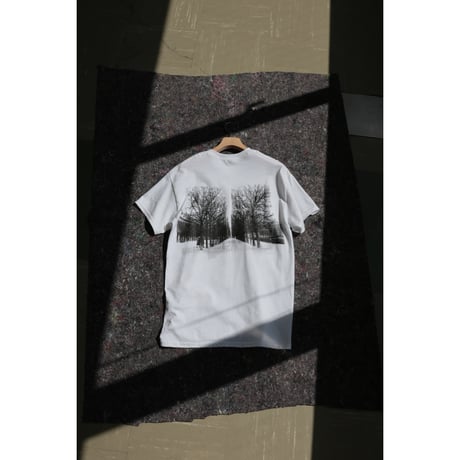 UTP  "中庭 Tee"