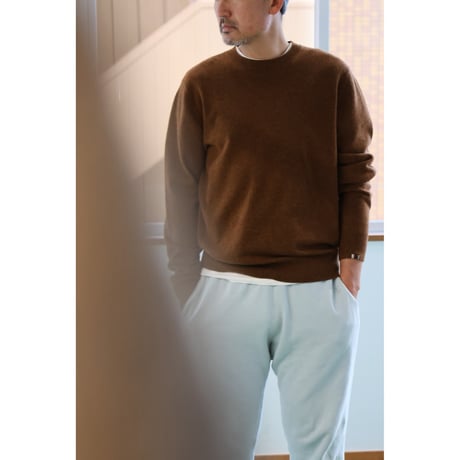 extreme cashmere "crewneck sweater"
