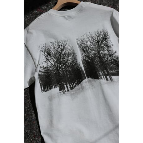 UTP  "中庭 Tee"
