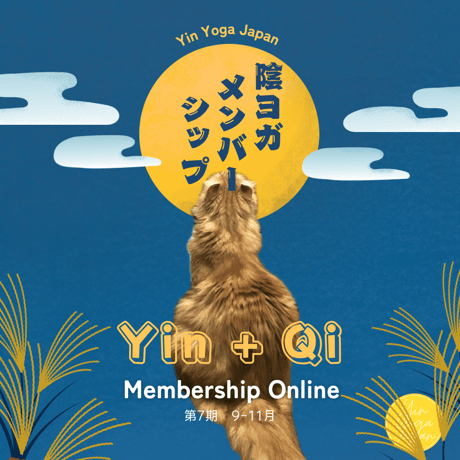 Yin + Qi メンバーシップ-Yin Yoga Japan Premium-