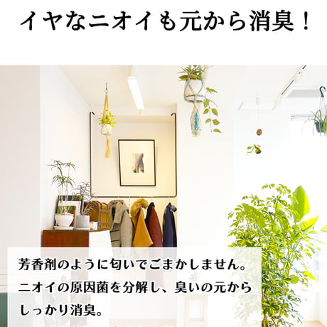 高濃度除菌消臭剤 99.999%除去 Dr.Care SUPPRESS 1000ppm 業務用 4L ウィルス・細菌対策 安全・災害時にも！ 送料無料 dryan-k4l