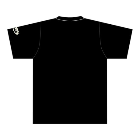 Triumph T #1