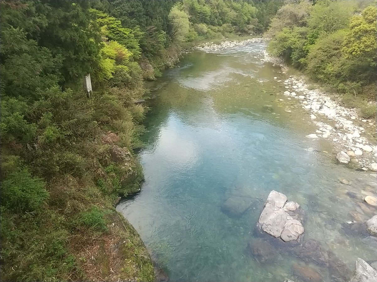 新鮮 板取川上流天然鮎 18㎝以上 10匹セット 予約商品 | おとりや しみず
