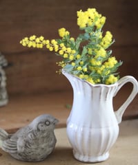 カルナックデコラティブモチーフロングカップ グレー | Atelier わたぼうし