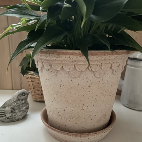 BERGS Potter DAISY デイジー　植木鉢 バーグスポッター BERGS Potter DAISY デイジー 植木鉢 バーグスポッター Bergs Potter