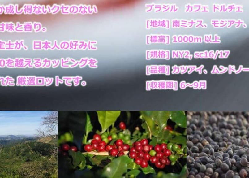 ブラジル ドルチェ (200g) | Cafe K' Oisicunarre