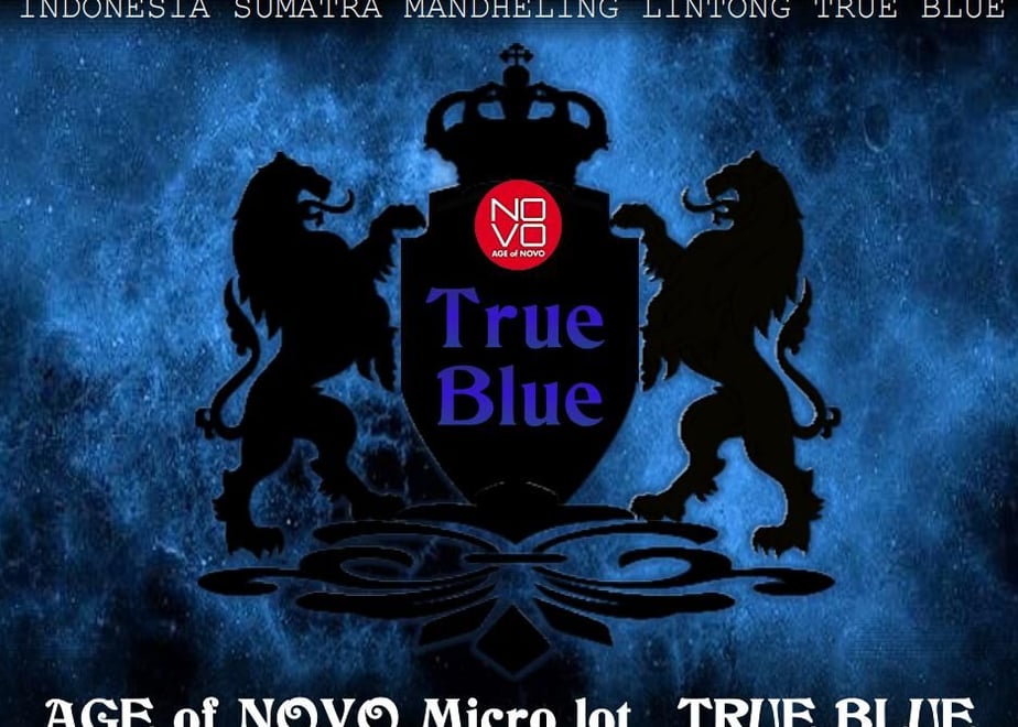62188416e8592603c01fa7b4