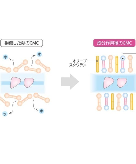 オージュア クエンチ ヘアトリートメント1L（詰替え）