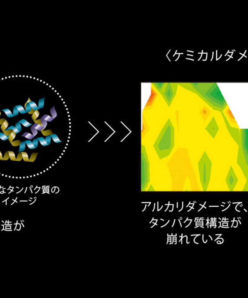 エンハンシング ビバシティ エファベース | studioROSA エンハンシング ビバシティ エファベース | studioROSA