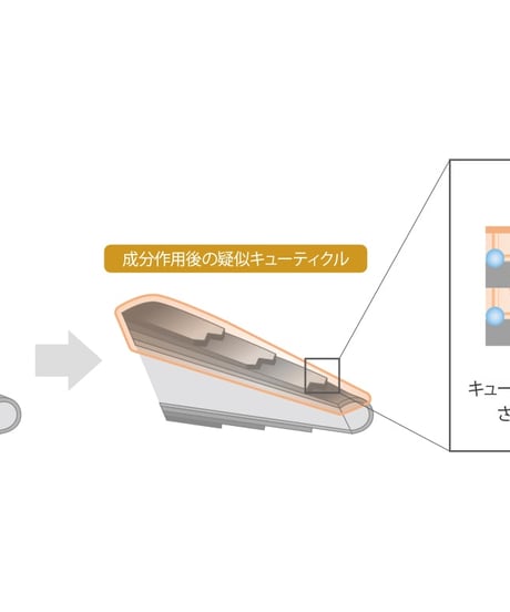 オージュア スムース ヘアトリートメント １kg（詰替え）