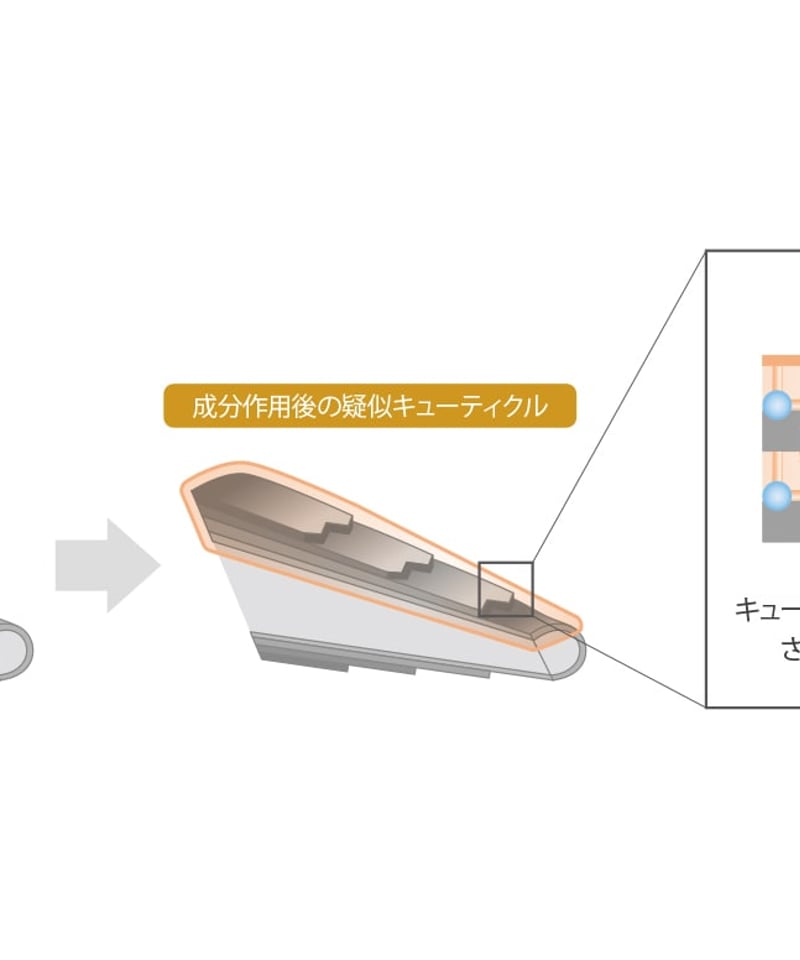 オージュア スムース ヘアトリートメント 1kg(詰替え オージュア スムース ヘアトリートメント 1kg(詰替え