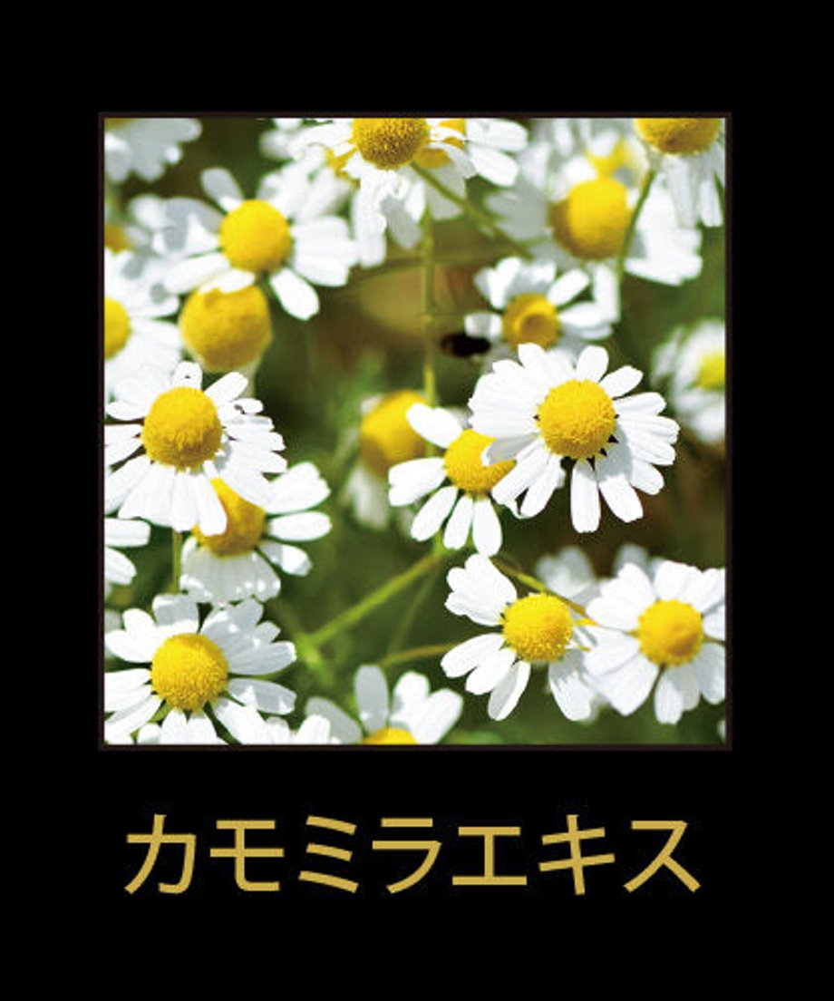 6284956884ec6e6a5906dcdf