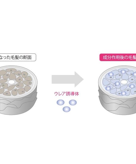 オージュア フィルメロウ ヘアトリートメント1L（詰替え）