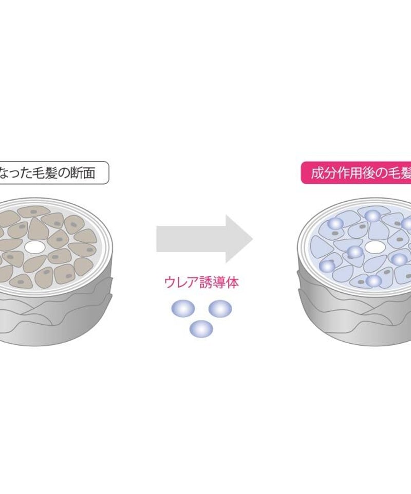 オージュア フィルメロウ ヘアトリートメント1L（詰替え） | studioROSA