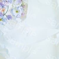 202604_D015-1