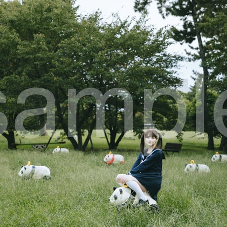 die with twin tails on panda noa-A