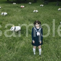 die with twin tails on panda noa-C