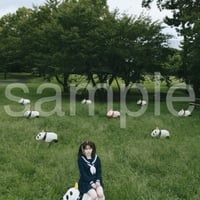 die with twin tails on panda noa-B
