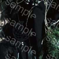 202604_B008-1