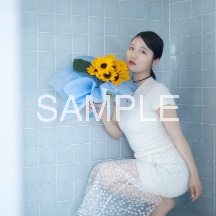 6a0eb22c63f5f60001062cc0