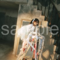 die with twin tails on step ladder noa-L