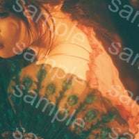 202604_B013-1