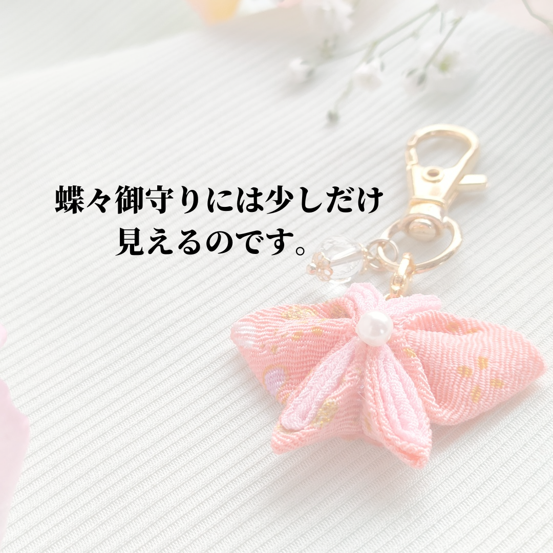 舞蝶撫子様 リクエスト 11点 まとめ商品 チョウに想うこと 国内に棲息する223種を収載した情緒的蝶類図鑑