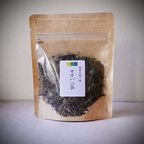 【オオバコ茶】国産(飛騨産)｜すっきり飲みやすい野草茶・ノンカフェイン・昔ながらの恵み