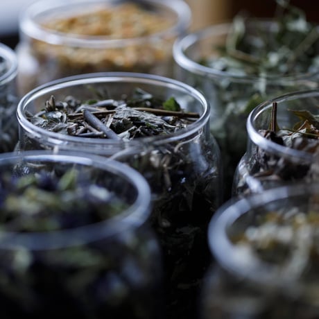 【葛の新芽茶】国産(飛騨産)手摘み｜爽やかに香る野草茶・ノンカフェイン