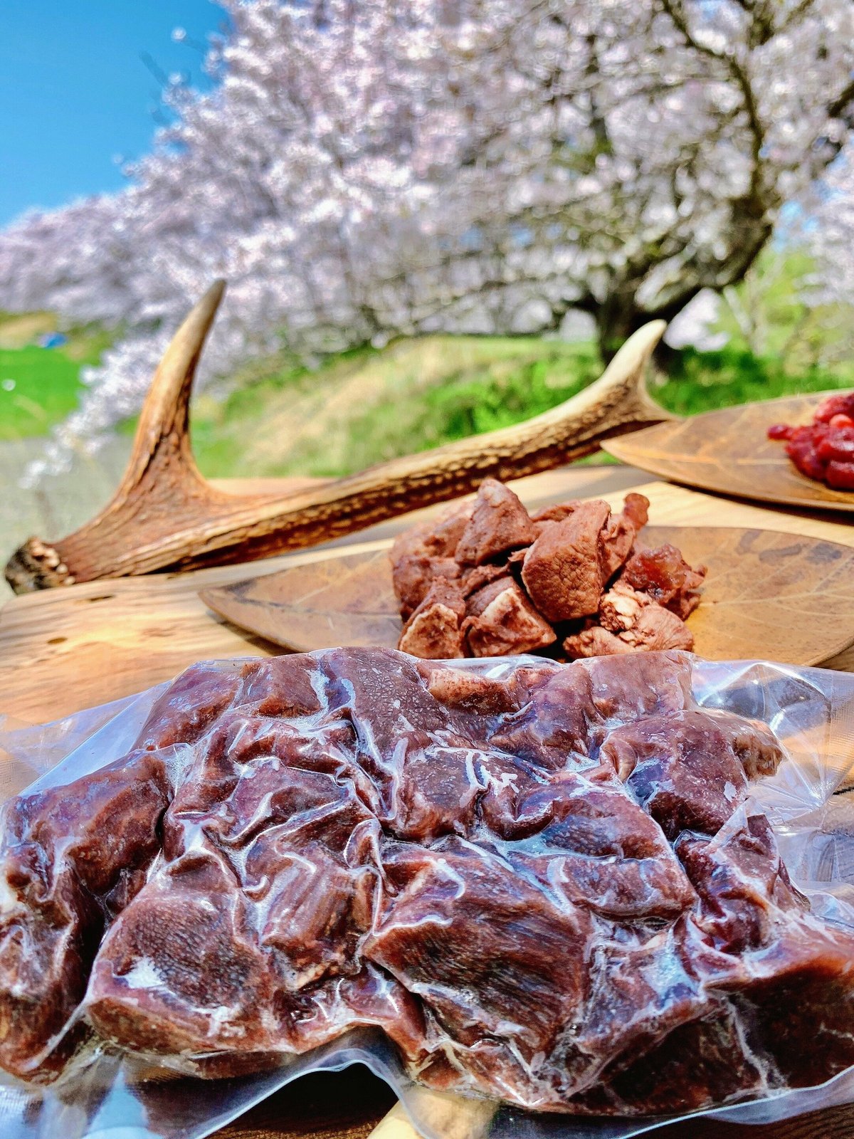 シカ肉🦌のボイル・よだれ地獄 (ボイルペットフード) | ジビエ