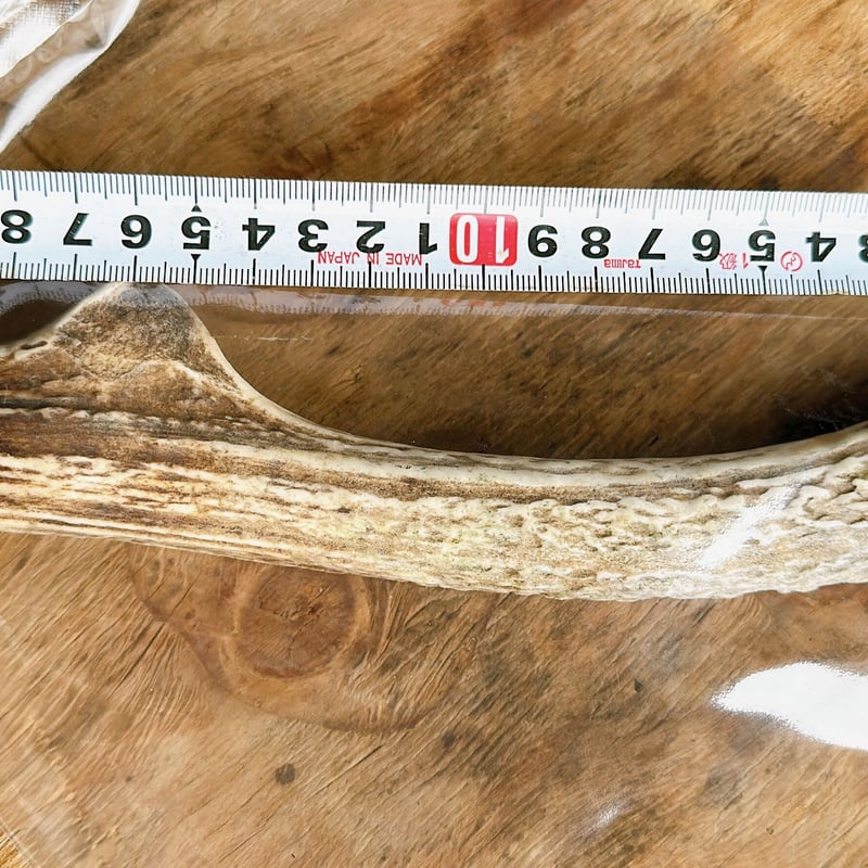 鹿角 鹿角🦌 Lロング 20cm前後 (大型犬用) ペット用おもちゃ、歯磨き