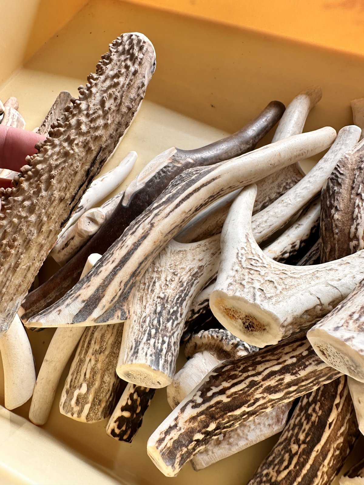 fit=scale-down,w=1200