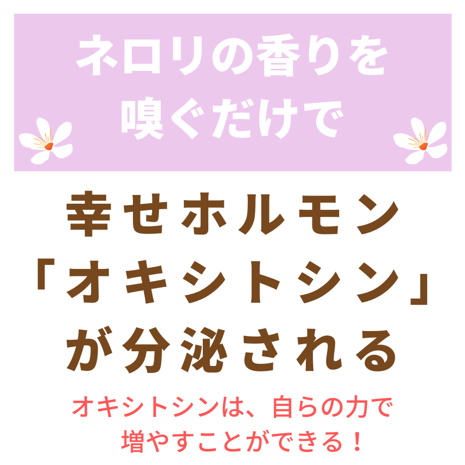 6273e5ba8d26fa682a490713