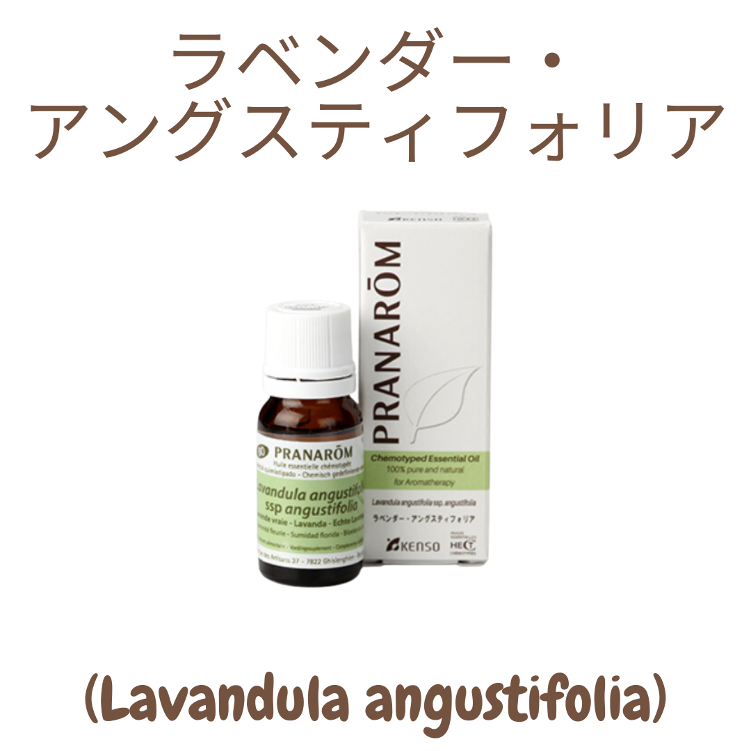 プラナロム 真正ラベンダー BIO 30ml お徳用 賄っ アングスティフォリア プラナロム 真正ラベンダー BIO 30ml お徳用 賄っ アングスティフォリア