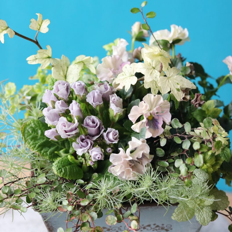 ビオラとジュリアンの春のブリコラージュフラワー(寄せ植え) | atelier