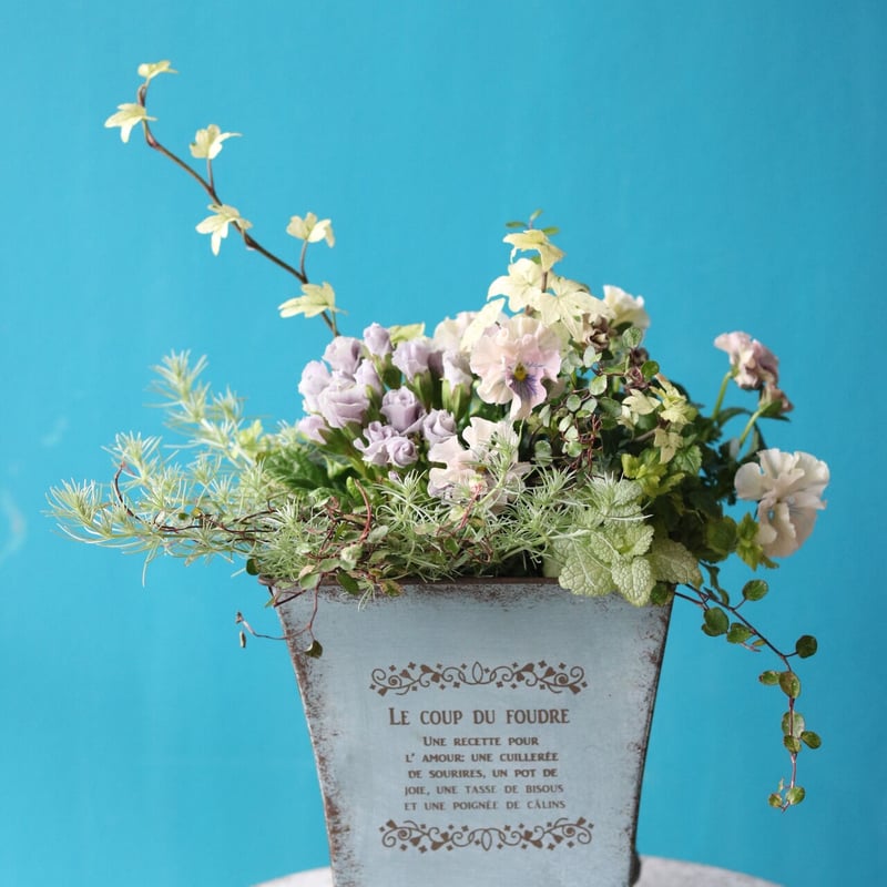 ビオラとジュリアンの春のブリコラージュフラワー(寄せ植え) | atelier