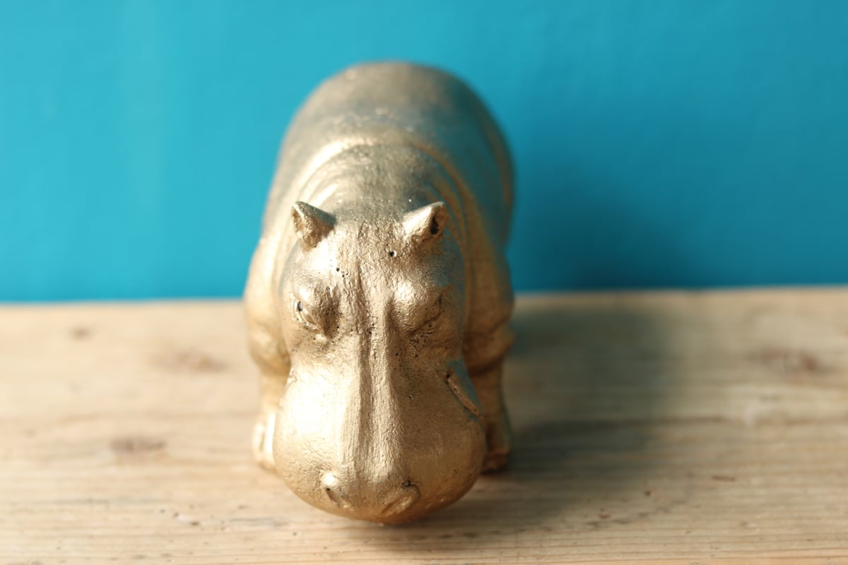 ヒッポ多言語マテリアル PREMIUM 1 hippo ヒッポ ヒッポ